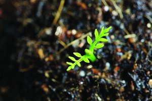 大模型常见问题：模型输出结果偏见处理
